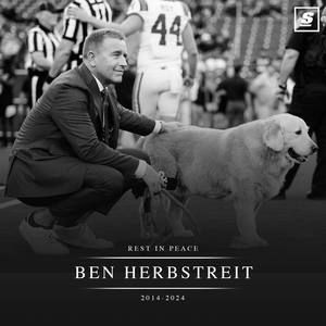 Meet your Posher, Randy